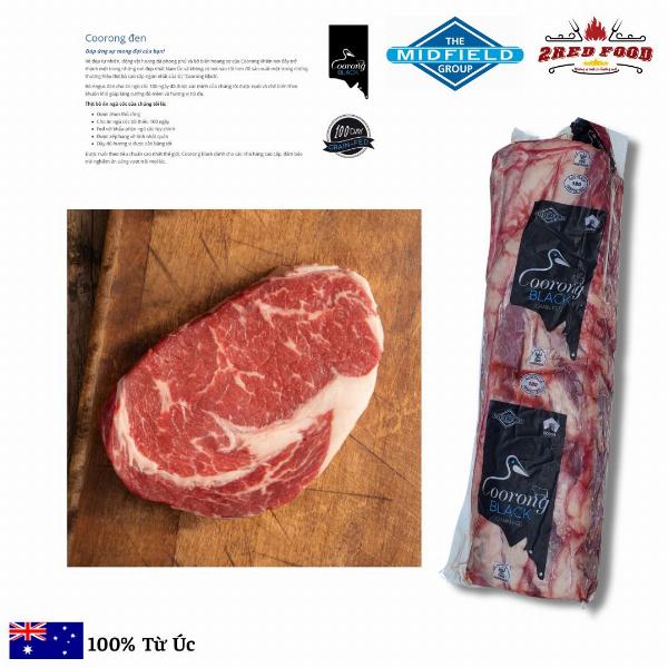 Đầu Thăn Ngoại Úc YP GF 100 days - Rib Eye Black Angus Chill